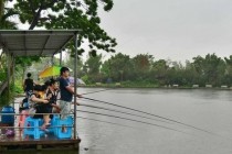 中秋假期?？卩l(xiāng)村休閑游受歡迎 市民雨中垂釣